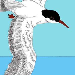 New Online Art Exhibition