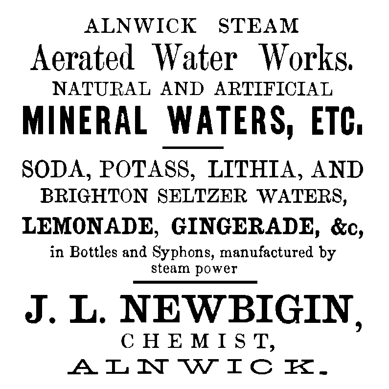 Victorian Adverts 13